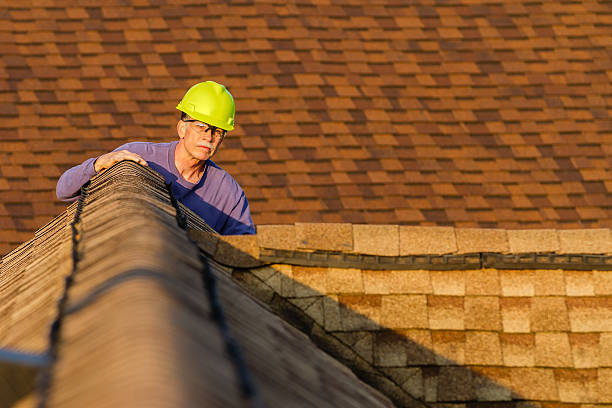 Best Roof Gutter Cleaning  in Linden, CA